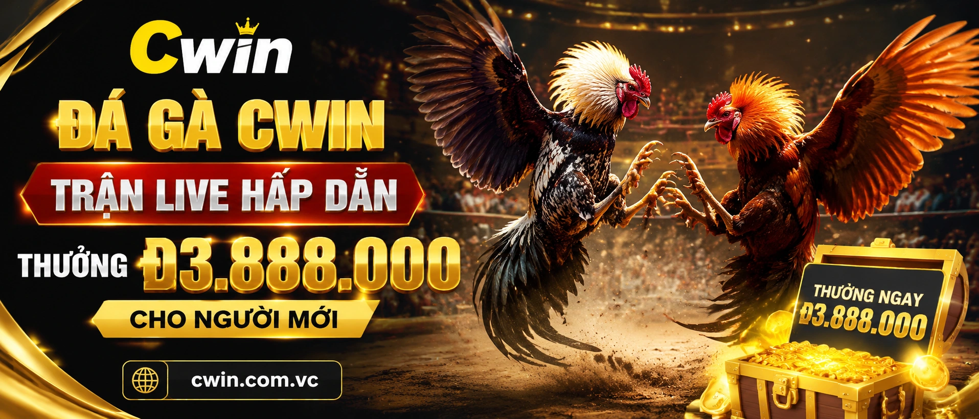 Đá Gà trực tiếp trên CWIN với giao diện phòng live rõ ràng