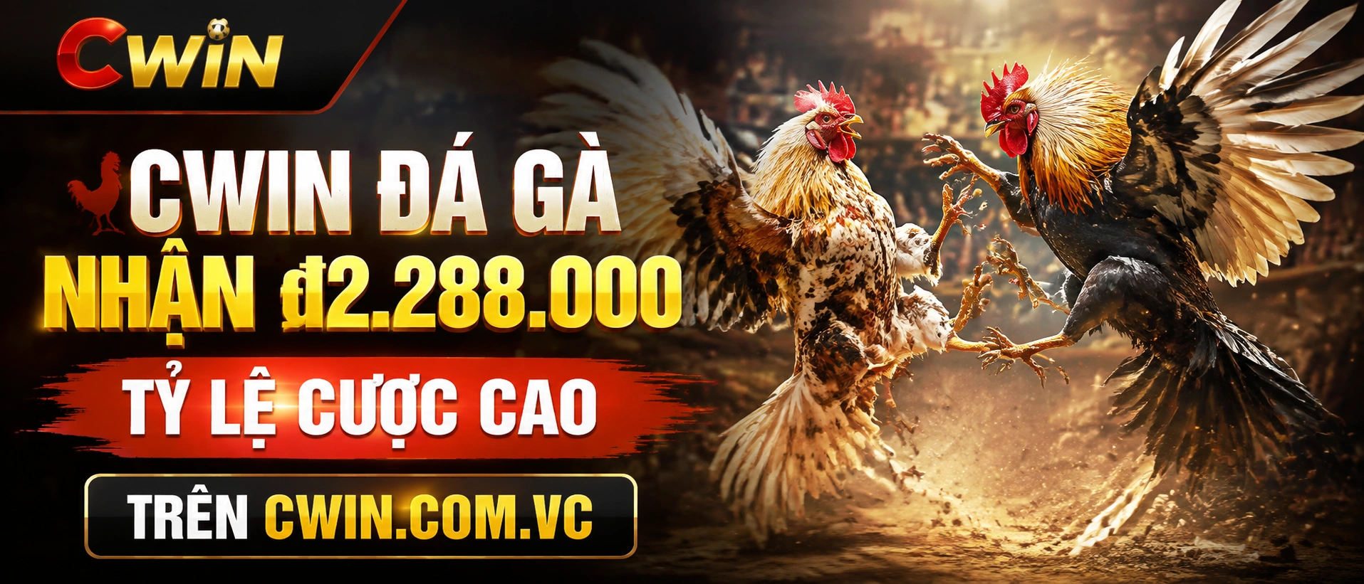Phòng Đá Gà mở sớm với lối vào rõ trên CWIN